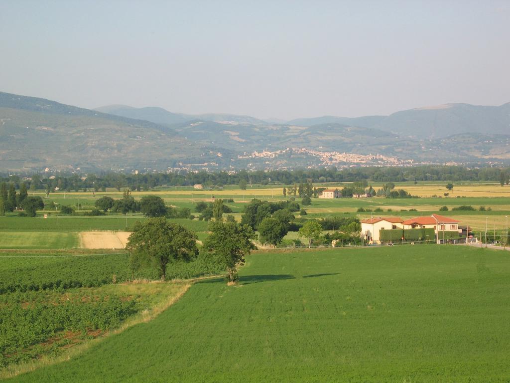 B&B Barbara Assisi Cannara Luaran gambar